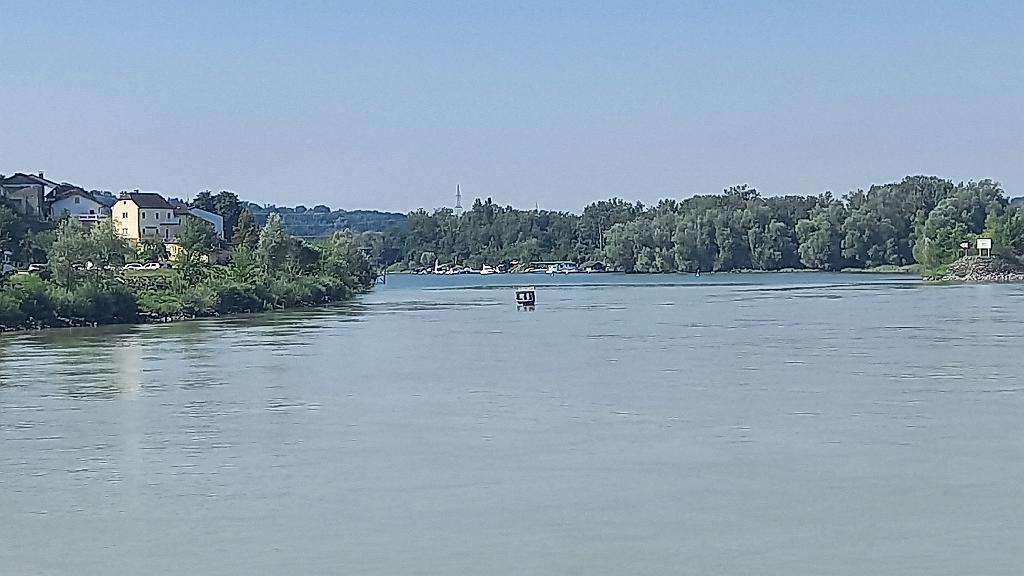 Donau (573)